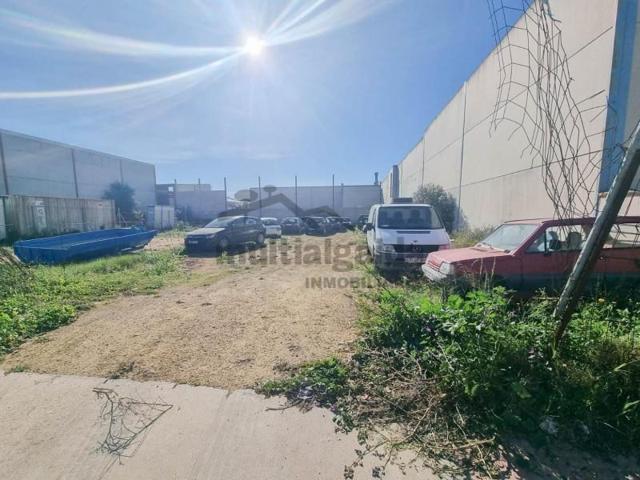 Terreno en venta en Benalup-Casas Viejas, Benalup-Casas Viejas photo 0