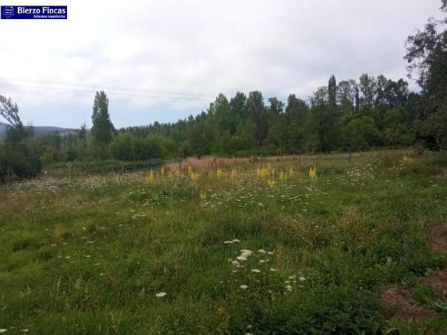 Terreno en venta en Ponferrada, Cuatrovientos photo 0