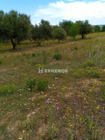 Chalet en venta en Lardero, Lardero photo 0