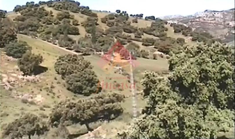 Chalet en venta en Ronda, La Indiana photo 0