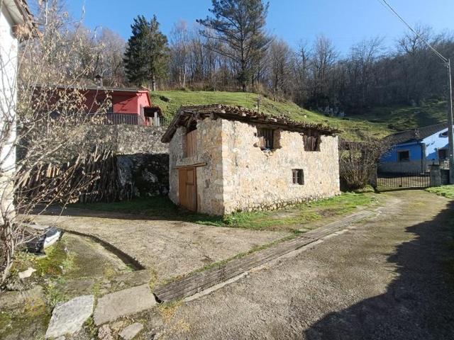 Casas de pueblo en venta en Cangas de Onís photo 0