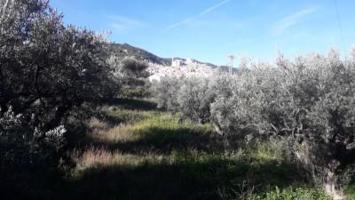 Terreno en venta en Moratalla photo 0