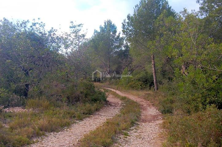 Terreno en venta en L'Ametlla de Mar, Les Vinyasses, 43860 photo 0