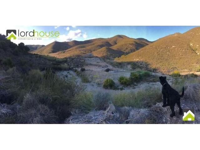 Chalet en venta en Lorca, Torrecilla photo 0