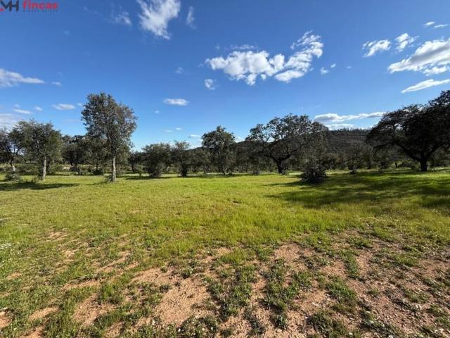 Terreno en venta en Almonaster la Real, Andalucia photo 0