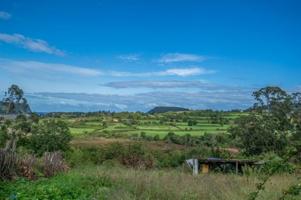 Casa en venta en Villaviciosa, Selorio photo 0