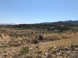 Terreno en venta en Jumilla, ZARZA photo 0