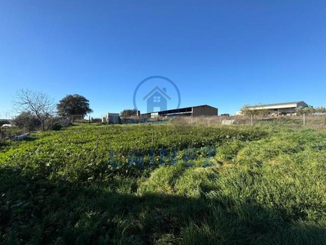 Terreno en venta en La Granjuela, La Granjuela, La Granjuela photo 0