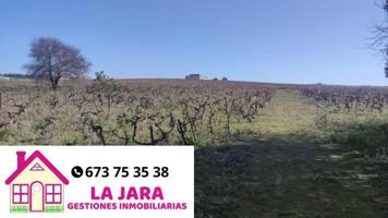 Terreno en venta en Sanlúcar de Barrameda, Munive, 11540 photo 0