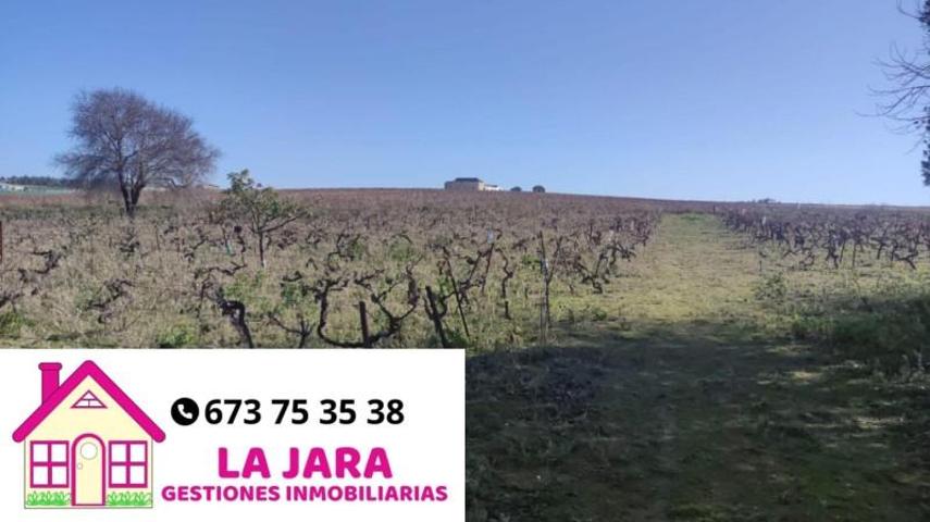 Terreno en venta en Sanlúcar de Barrameda, Munive, 11540 photo 0
