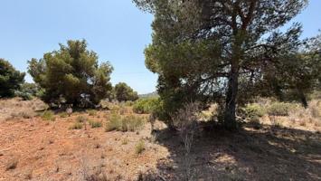 Terreno en venta en Sagunto, Sagunto photo 0