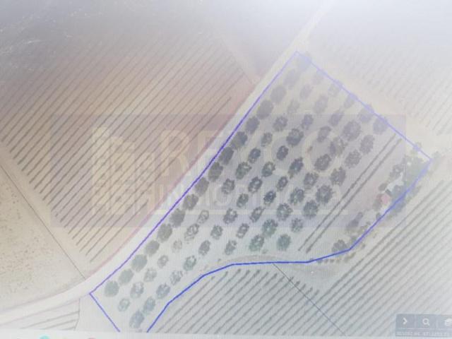 Terreno en venta en Cuzcurrita de Río Tirón photo 0