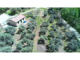 Chalet en venta en Candeleda photo 0