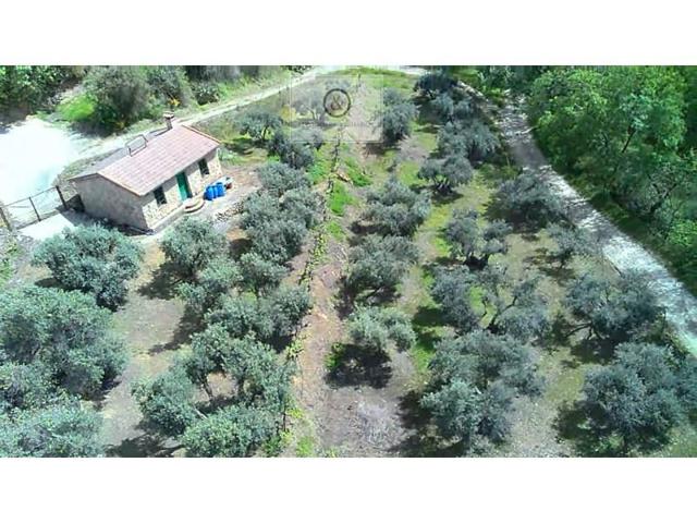 Chalet en venta en Candeleda photo 0