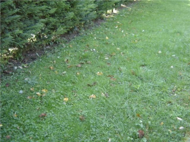 Terreno en venta en Valle de Mena, Anzo photo 0