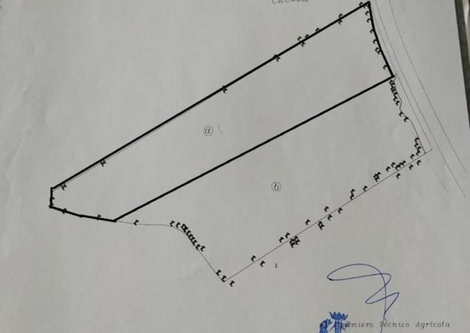 Terreno en venta en Montilla photo 0