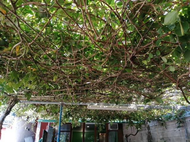 Chalet en venta en O Grove, Grove O photo 0