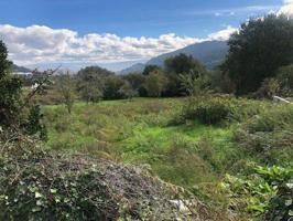 Terreno en venta en Ourense, O Pino photo 0