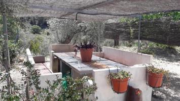 Casa con terreno en venta en Moratalla photo 0