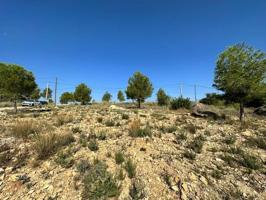 Terreno en venta en Catadau, Lloma molina photo 0