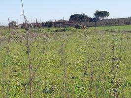 Terreno en venta en Puebla de Sancho Pérez, Puebla de Sancho Pérez photo 0