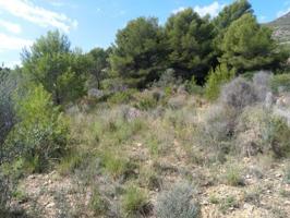 Terreno en venta en Oropesa del Mar, Oropesa Del Mar photo 0