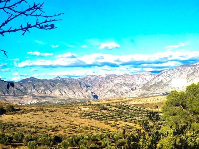 Chalet en venta en Cozvíjar, Cozvíjar photo 0