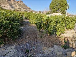 Terreno en venta en Ojós, Ojos photo 0