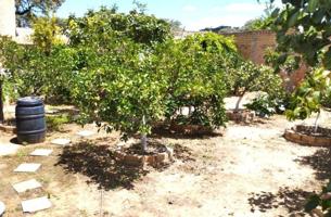 Terreno en venta en Gerena, Gerena photo 0