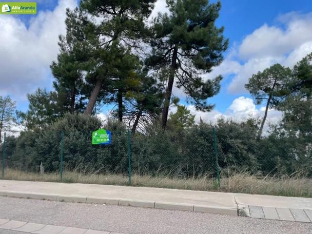 Terreno en venta en Aranda de Duero, Costajan photo 0