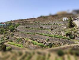 Terreno en venta en Fasnia, Zona Centro photo 0