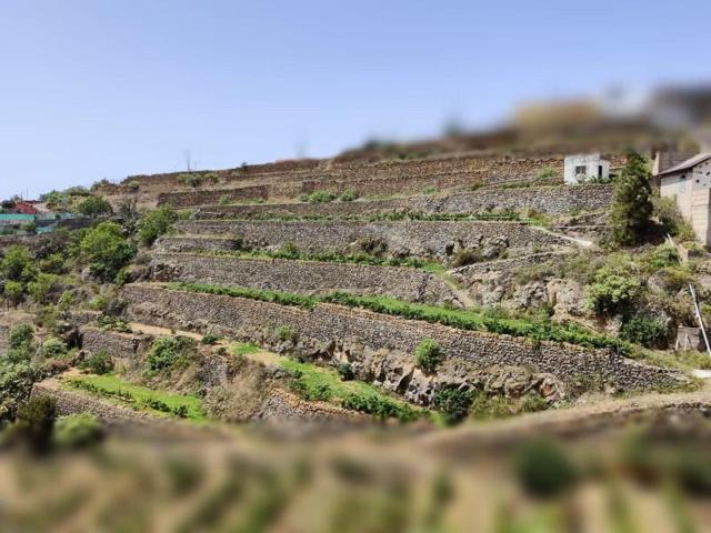 Terreno en venta en Fasnia, Zona Centro photo 0