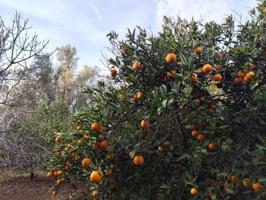 Casa con terreno en venta en Lecrín photo 0
