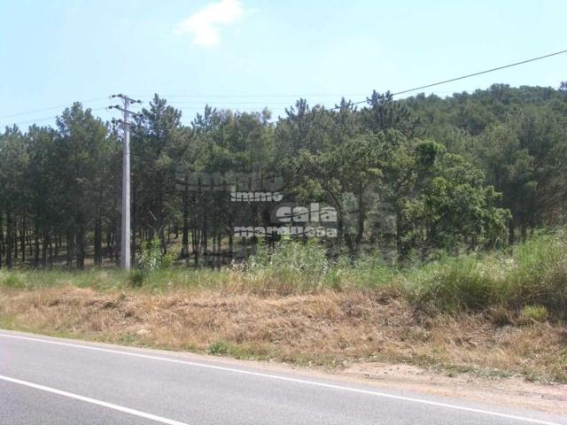 Terreno en venta en Begur, Urbanització Residencial Begur photo 0