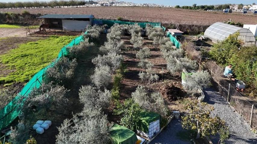 Casa con terreno en venta en Las Cabezas de San Juan, ZONA EL ROSAL photo 0