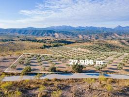 Terreno en venta en Jayena, JAYENA photo 0