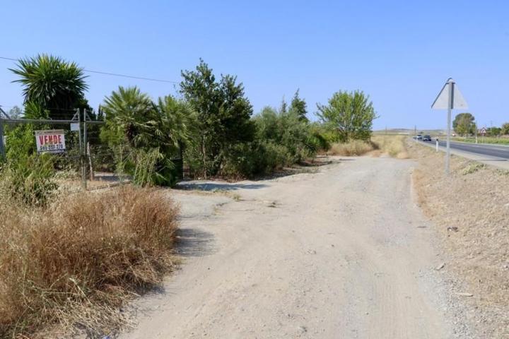 Terreno en venta en Las Cabezas de San Juan, HORNILLO photo 0