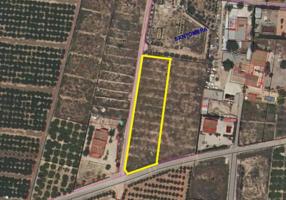 Terreno en venta en Santomera, Almazara photo 0