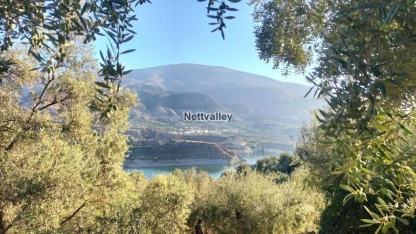 Casa con terreno en venta en Piñar photo 0