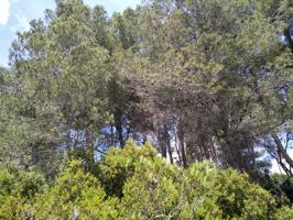 Terreno en venta en Potríes photo 0