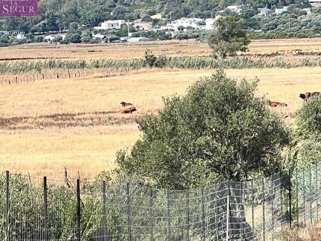 Terreno en venta en Vejer de la Frontera, Angostura photo 0