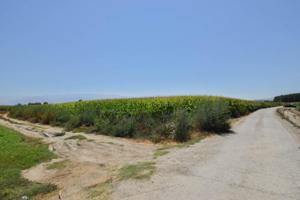 Chalet en venta en Belicena, VIAL DE LA VEGA photo 0