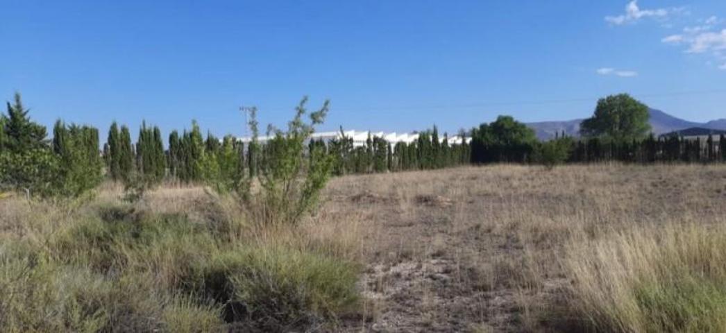 Terreno en venta en Yecla photo 0