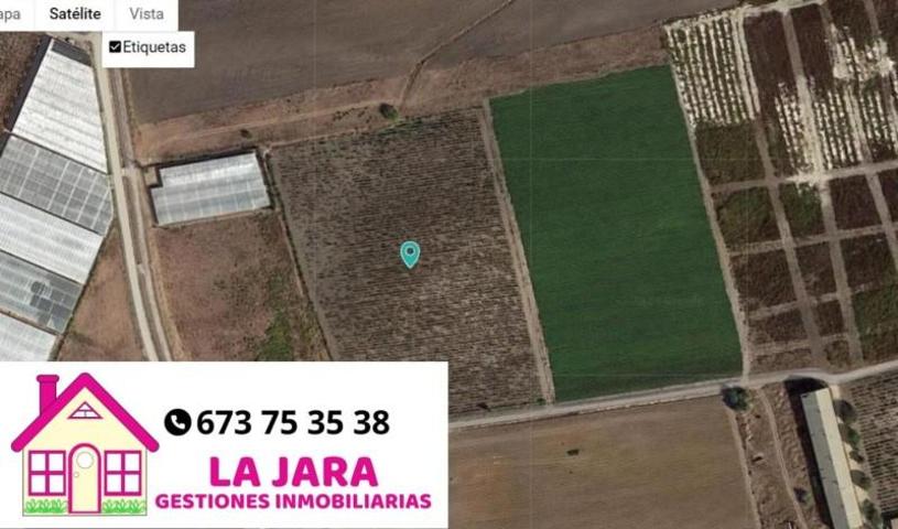 Terreno en venta en Sanlúcar de Barrameda, Punta del Águila, 11540 photo 0