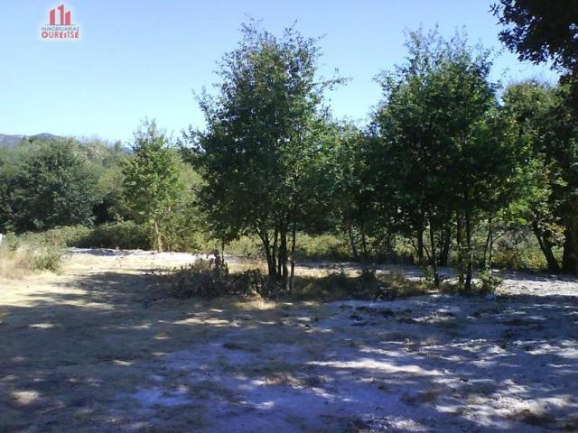 Terreno en venta en Nogueira de Ramuín, Os campos photo 0