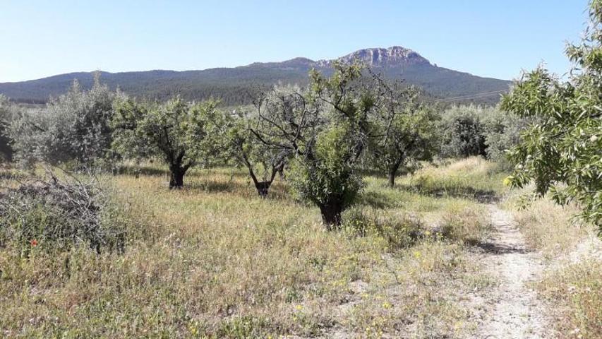Terreno en venta en Moratalla photo 0