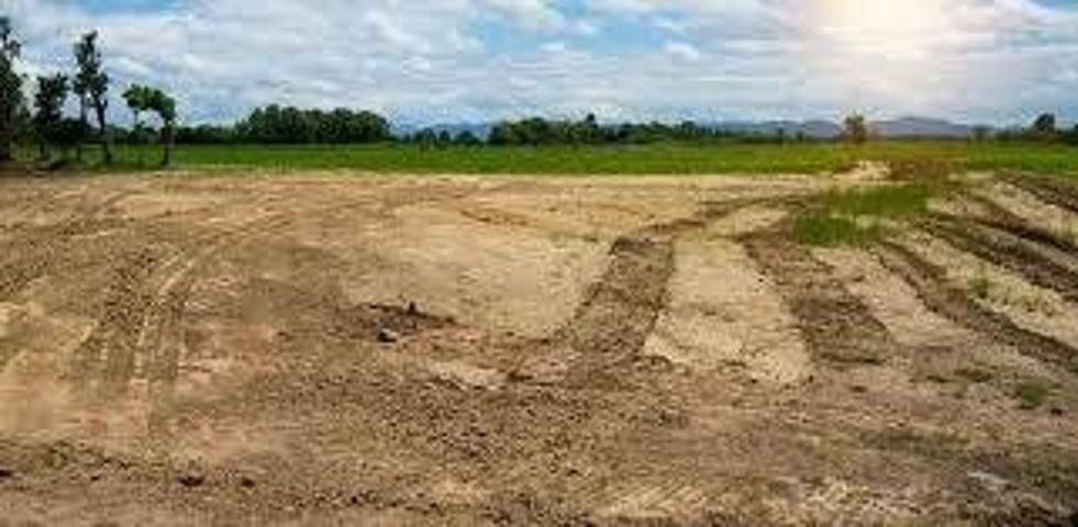 Terreno en venta en Burriana, Serratella photo 0