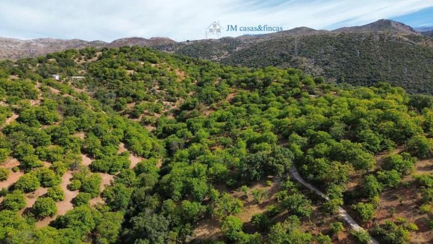 Chalet en venta en Parauta, Parauta photo 0