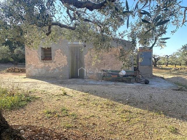 Terreno en venta en el Perelló, Burgà, 43519 photo 0