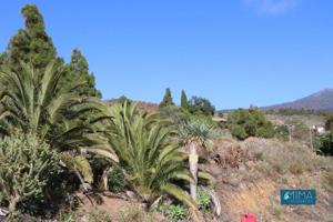 Terreno en venta en El Paso, Tacande de Abajo, 0, 38758 photo 0